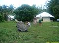 En route vers Bird Island - hotel - ile - nature (37)